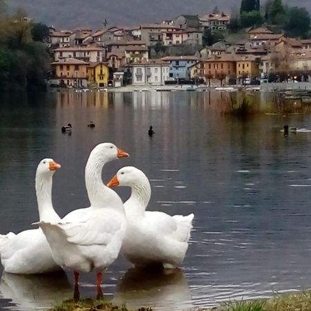 B&B Il Picchio Mergozzo Exteriör bild