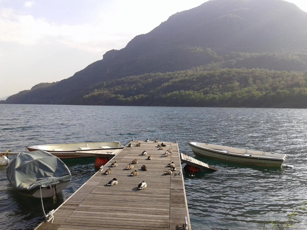 B&B Il Picchio Mergozzo Exteriör bild